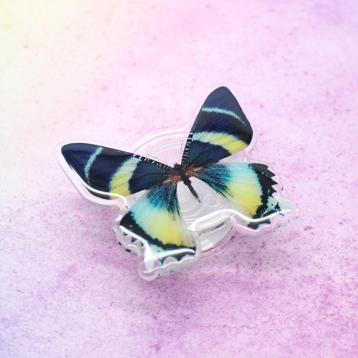 Handygriff Pop Schmetterling Urania